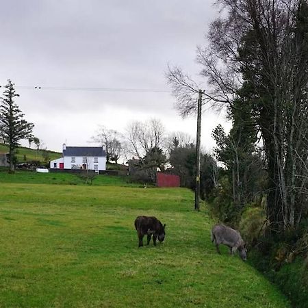 Meenadreen Cottage Донегол Экстерьер фото